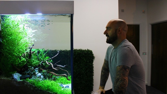 Aquariums help workplace wellbeing