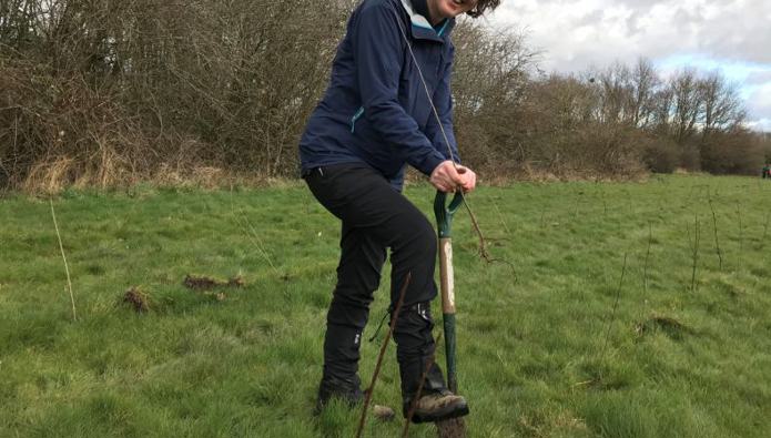 Virtual forest helps West Midlands be greener