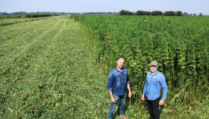 Scottish business tackling climate change with cleantech hemp building materials